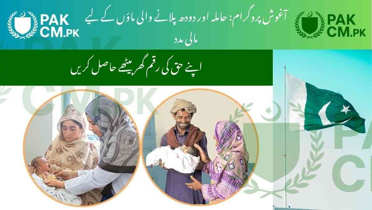 You are currently viewing Agosh Program 2025 – Balance Online Step-by-Step Guide on PSPA Portal
