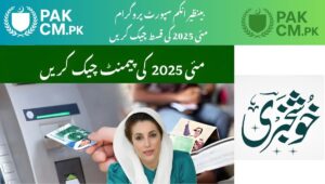 Read more about the article BISP 8171 CNIC Check for May 2025 Payment – SMS, Online Portal & Tehsil Office Guide