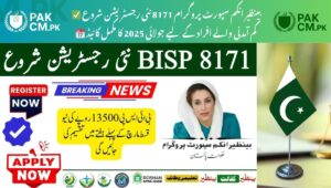 Read more about the article BISP 8171 July 2025 New Registration Guide for Low-Income Families