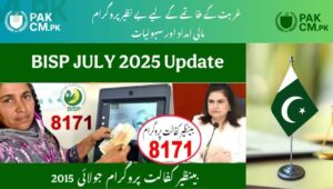 Read more about the article BISP Eligibility 2025 – Income, Age & Housing Criteria