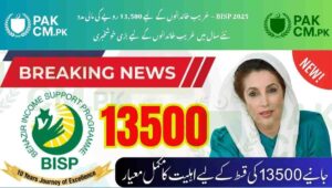 Read more about the article BISP 2025 Payment Update – Rs. 13,500 Kafalat & Taleemi Wazifa Released for Remaining District Cases