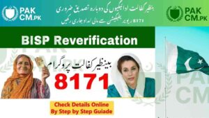 Read more about the article BISP 8171 Re-verification-Needed to Receive May 2025 Payment