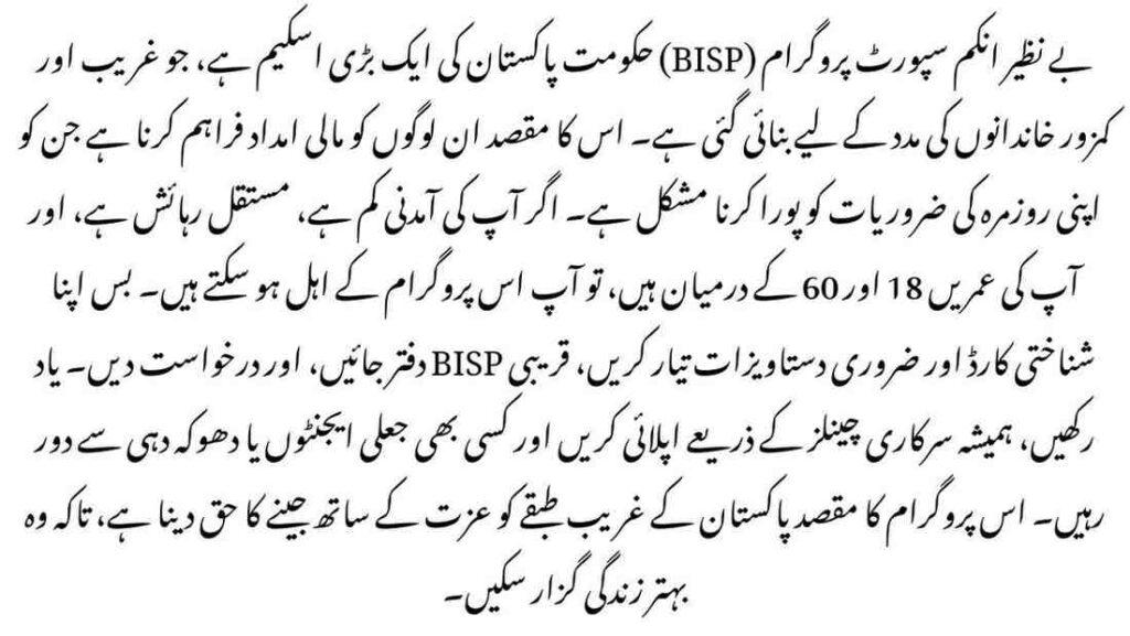 BISP Eligibility 2025