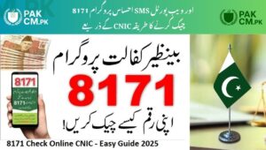 Read more about the article Ehsaas Program CNIC Check – How to Verify Eligibility via 8171 SMS & Web Portal