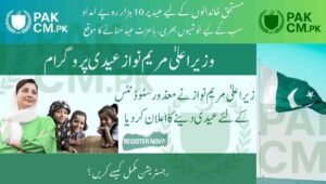 Read more about the article Maryam Nawaz Eid Package 2025 – Who Is Eligible and How to Apply?