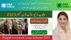 Read more about the article Punjab Livestock Loan Scheme 2025 – Interest-Free Rs. 540,000 Loan via Maryam Nawaz Kisan Card