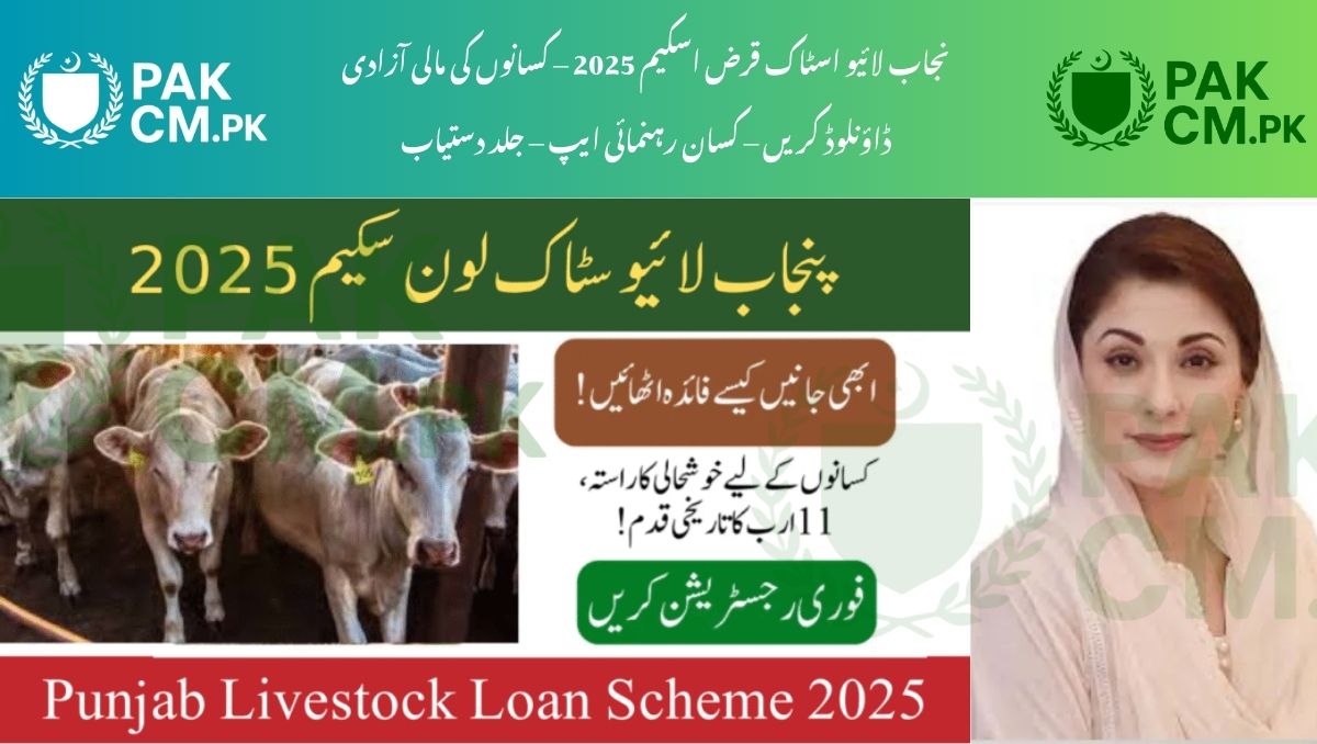 Read more about the article Punjab Livestock Loan Scheme 2025 – Interest-Free Rs. 540,000 Loan via Maryam Nawaz Kisan Card