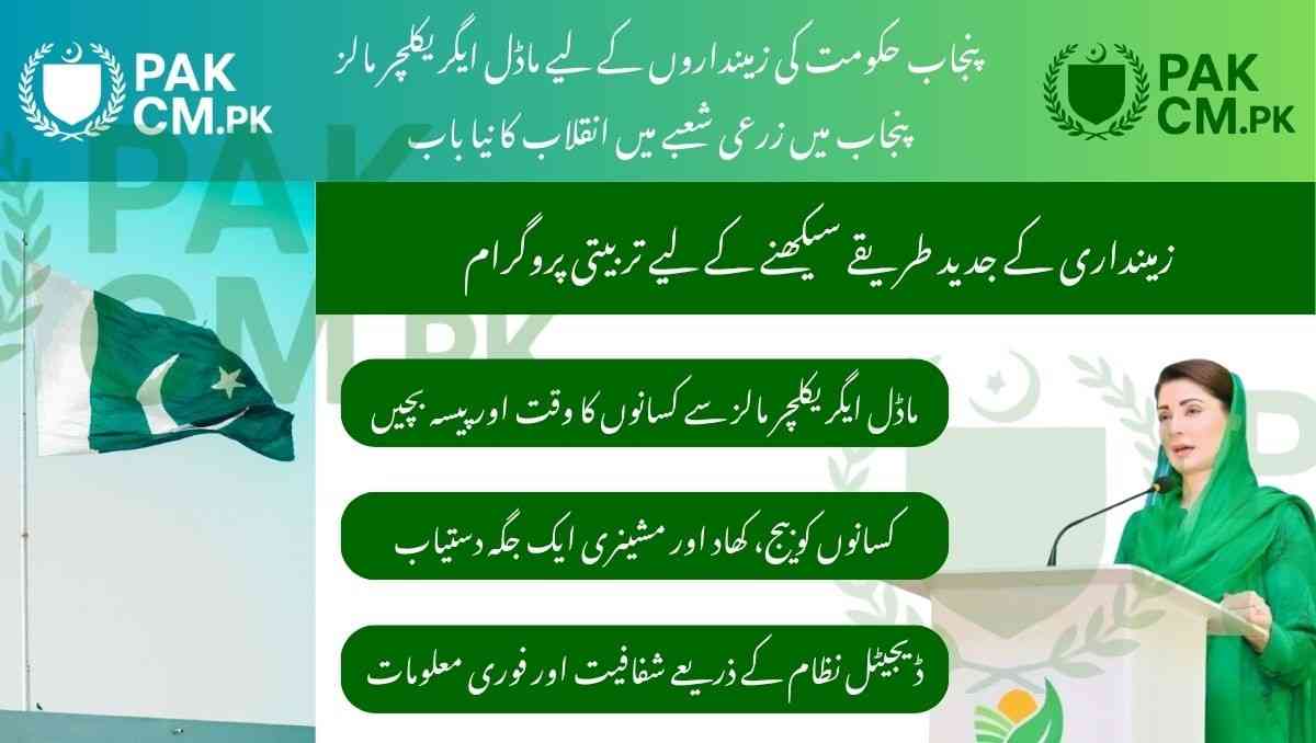 You are currently viewing Punjab Launches Model Agriculture Malls 2025 – A Game-Changer for Farmers
